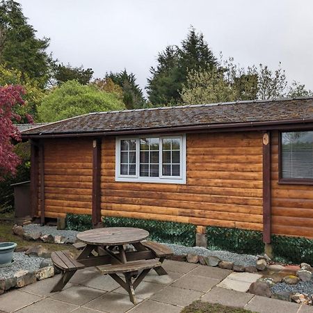 Villa Snowdonia Log Cabin 2 Trawsfynydd Exterior foto